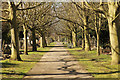 Canwick Road Old Cemetery