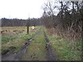 Farm track off Pont Lane