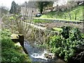 Iles Lock, Thames & Severn Canal, from the east