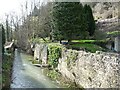 The River Frome at Chalford Bottom