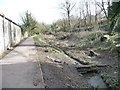 The Thames & Severn Canal, looking south-east