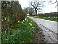 SK5854 : The lane to Bottom Farm by Graham Hogg