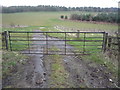 Field entrance off Langley Lane