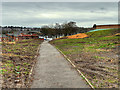 Path next to the Civic Hall