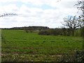 Oakley Wood, Pulley Lane, Droitwich