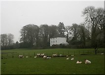 NX7557 : Airieland Farm House by Richard Sutcliffe