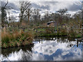 SD4214 : WWT Wetland Centre at Martin Mere by David Dixon
