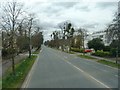 Bus stops of Lansdown Road