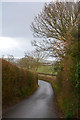 Mid Devon : Country Lane