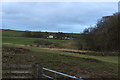 Farmland at Drumhumphry