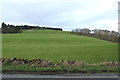 Farmland at Brooklands Glen