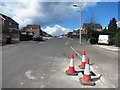 Cones in Gaywood Drive