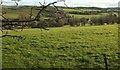 Wellow Brook valley at Single Hill