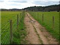 Footpath (across field)