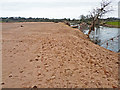 Flood aftermath - riverside field covered with sand