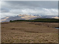 NN1521 : Grassy moorland between Lochan na Cruaiche and Loch an Stacain by Trevor Littlewood