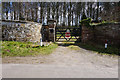 SJ7908 : Entrance to Knoll Lodge from Mill Lane by Ian S