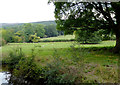 Canalside pasture east of Llangollen