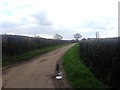 Forge Lane, near Boughton Monchelsea