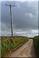 Torridge : Country Lane