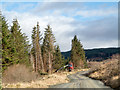 NN1324 : Timber harvesting machine beside forest road by Trevor Littlewood
