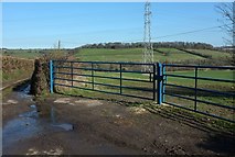 ST7158 : Gates by White Ox Mead Lane by Derek Harper