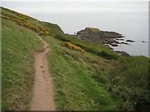 SX2351 : The Coast path between Talland and Looe by Philip Halling