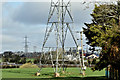 Pylons and power lines, Lurganure, Lisburn (April 2016)