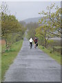 SH6818 : Cyclists on the Mawddach Trail by Eirian Evans