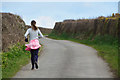 Torridge : Country Lane