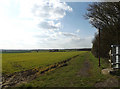 Footpath to Mill Lane