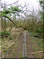 Anglesey Coast Path at Malltraeth