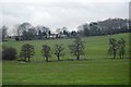 Stainley Beck