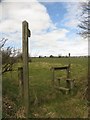 Footpath to Viewlaw