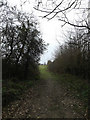 TM0857 : Footpath to Pound Road by Geographer