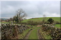 SD4996 : Green Lane heading for Bowston Farm by Chris Heaton