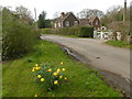 Styants Bottom near Oldbury