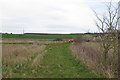 Footpath on arable field margin, looking to Water Lane, Radwinter 