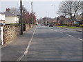 Stoney Lane - viewed from Painthorpe Lane