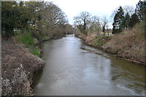 TQ0659 : River Wey at Wisley Bridge by David Martin