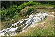 SP4315 : The Cascades on the River Glyme by Steve Daniels