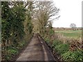 Brick Kiln Lane, near Ulcombe