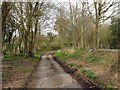 Tong Lane, near Headcorn