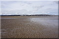 SS6390 : Swansea Bay at low tide by Bill Boaden