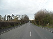 TQ9842 : Chart Road, Ashford by David Howard