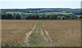 Bridleway, Barham Downs