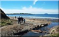 Springtime Walkers at Maidens Bay