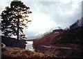 NH1923 : East end of Loch Affric by Alan Reid