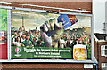 J3674 : Northern Ireland Euro 2016 poster, Belfast (April 2016) by Albert Bridge
