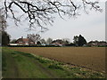 Approaching Grove Cottages